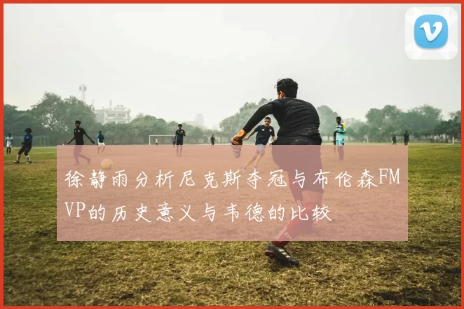 徐静雨分析尼克斯夺冠与布伦森FMVP的历史意义与韦德的比较